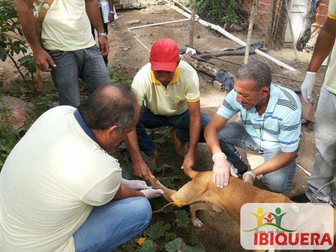 Profissionais da saúde município de Ibiquera recebem capacitação em leishmaniose